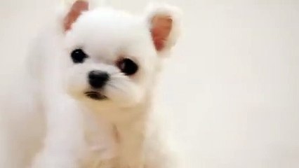 봉화출장안마 -후불100%ョØ1ØE7362E3210｛카톡RQ43｝ 봉화전지역출장안마 봉화오피걸 봉화출장마사지 봉화안마 봉화출장마사지 봉화콜걸샵≪≫√