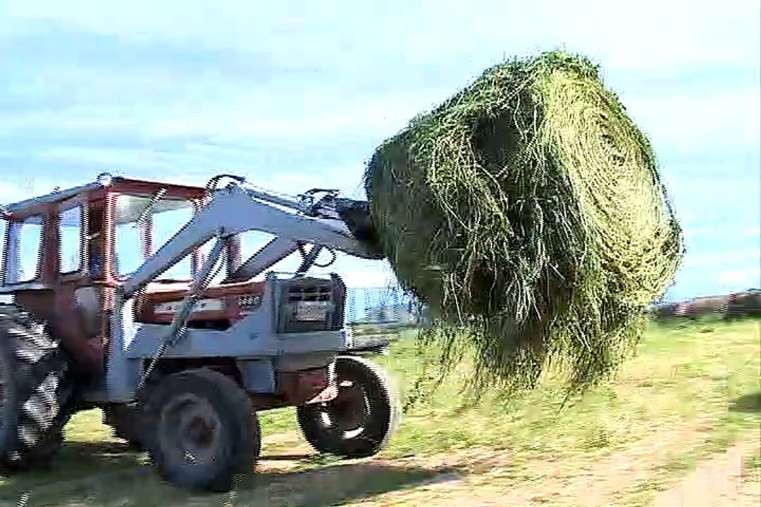La récolte de foin meilleure que l’an passé
