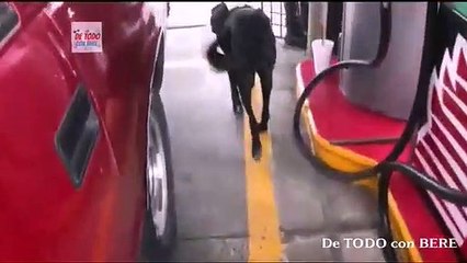 NEGRITA la PERRITA que CONSIGUIO TRABAJO en una GASOLINERA de IXTAPALUCA