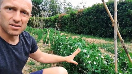 En route vers l'autonomie alimentaire !