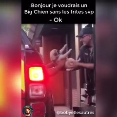 Quand on reçoit un chien à la place de la nourriture dans un fast-food. Trop mimi !