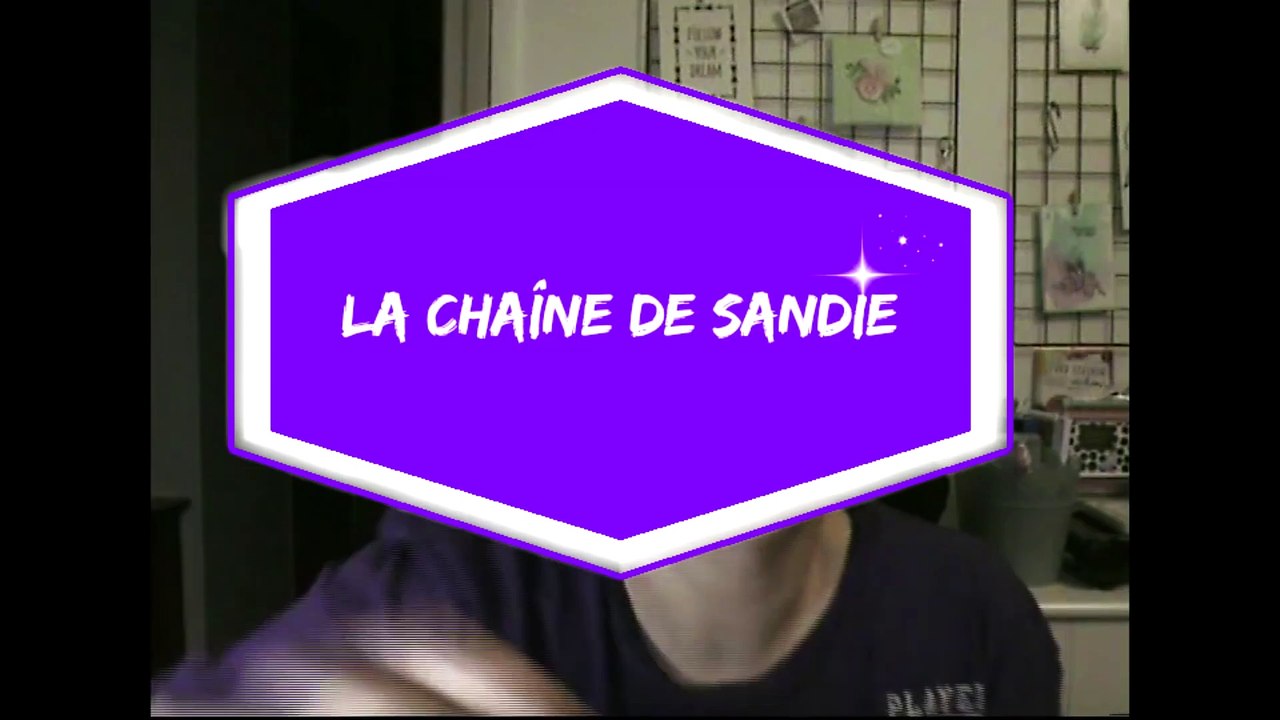 Haul - Action "scrapbooking" / nouveautés