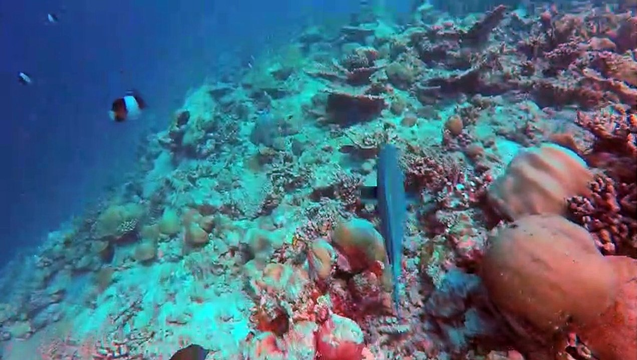 Voyager aux Maldives