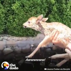 Emouvant ! Ce moment où un bébé perdu retrouve sa maman. A voir !