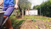 HEBDO POTAGER #14 - Comment améliorer le sol du potager ?