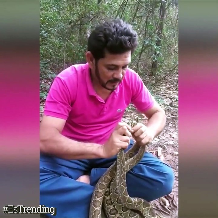 Hombre Vs 4 serpientes cascabel