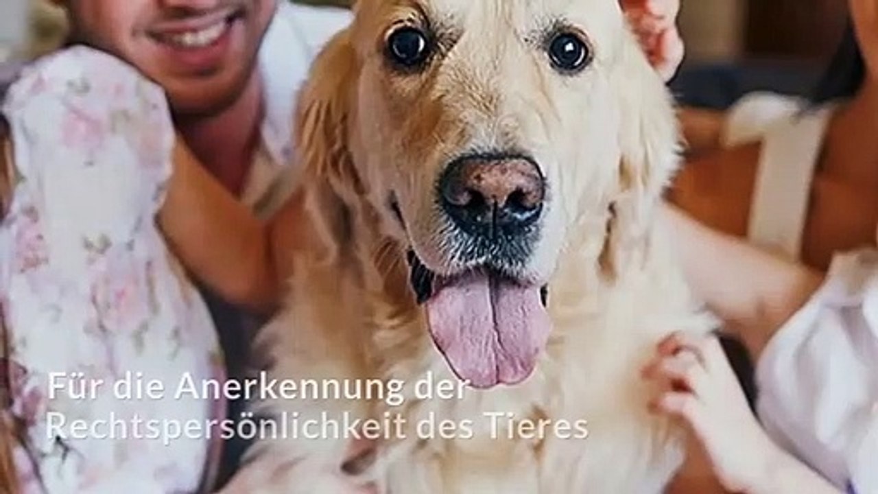 TIERVERSUCHE