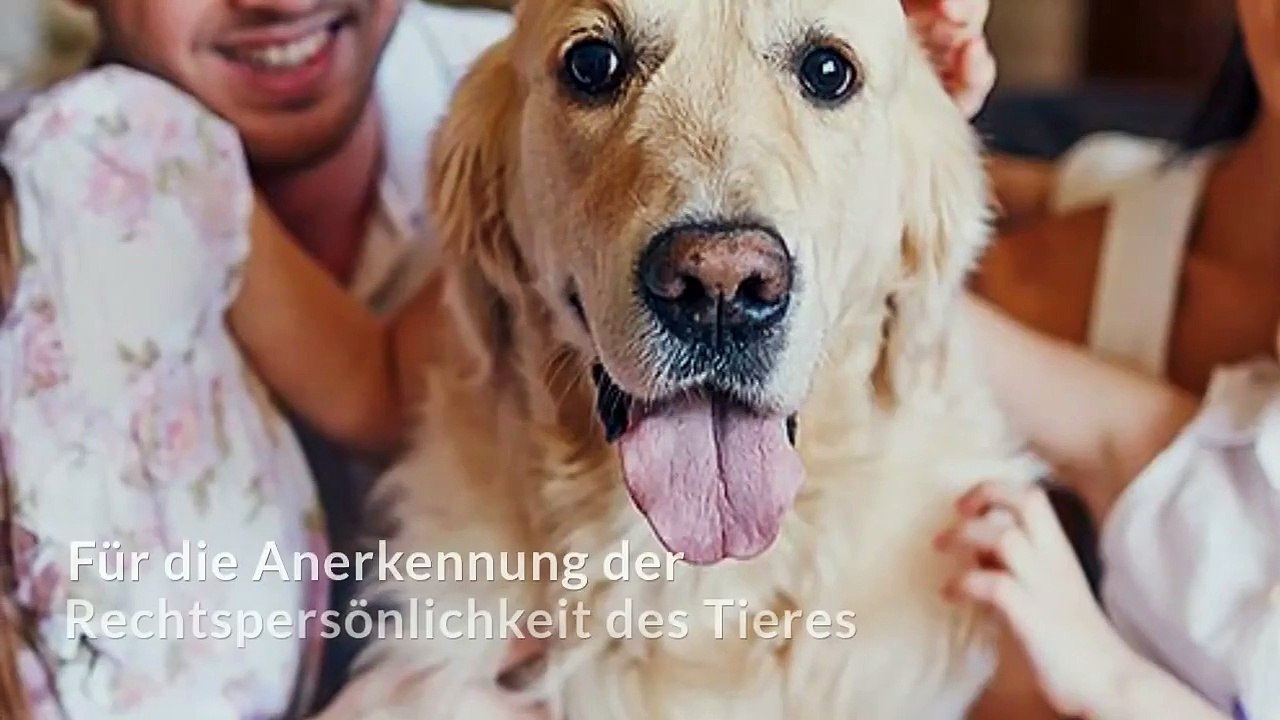 TIERVERSUCHE IN