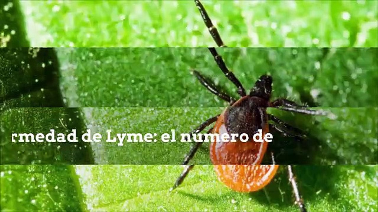 SCIENCES_ES_05072019