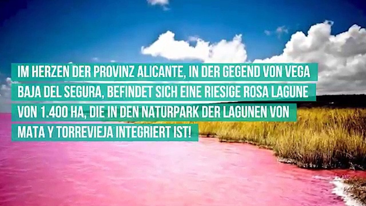 TRAVEL_DE_10072019