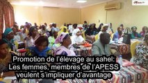 Association pour la promotion de l’élevage au Sahel et en savane (APESS)  Des espaces de concertation des femmes mis en place