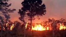 Grande área de vegetação no Pioneiros Catarinenses é atingida por incêndio