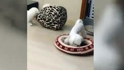 부안출장안마 -후불100%ョØ7ØS7333S9649｛카톡VV23} 부안전지역출장안마 부안오피걸 부안출장마사지 부안안마 부안출장마사지 부안콜걸샵ĦĲĿ