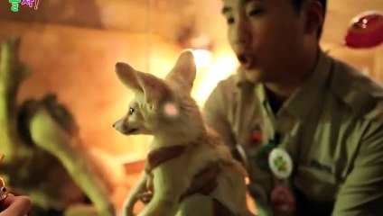 강남출장안마 -후불100%ョØ7ØA7575A0062｛카톡DK654｝ 강남전지역출장안마 강남오피걸 강남출장마사지 강남안마 강남출장마사지 강남콜걸샵œßþ
