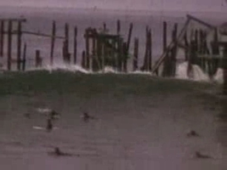 The Virgins - Rich Girls