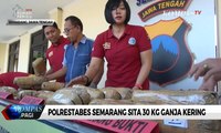 Polrestabes Semarang Sita 30 Kg Ganja Kering