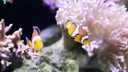 남동출장타이OiOe2997e5327｛카톡QR091｝ぱ남동출장안@마ぱ남동출장샵ぱ남동출장맛사지 ぱ남동출장걸썰 남동출장걸가격 남동출장러시아 남동외국인후불출장업소 남동24시출장마사지샵'예약≪≫√