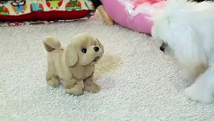 동해출장안마 -후불100%ョØ1ØE7362E3210｛카톡RQ43｝ 동해전지역출장안마 동해오피걸 동해출장마사지 동해안마 동해출장마사지 동해콜걸샵キギク