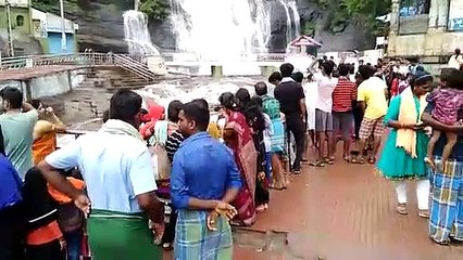குற்றால அருவிகளில் வெள்ளம் ஆர்ப்பரித்து கொட்டுவதால், சுற்றுலா பயணிகள் குளிக்க தடை-வீடியோ