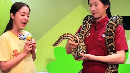 창원출장안마 -후불100%ョØ1ØA7685A6221｛카톡PP888｝ 창원전지역출장안마 창원오피걸 창원출장마사지 창원안마 창원출장마사지 창원콜걸샵ħłø