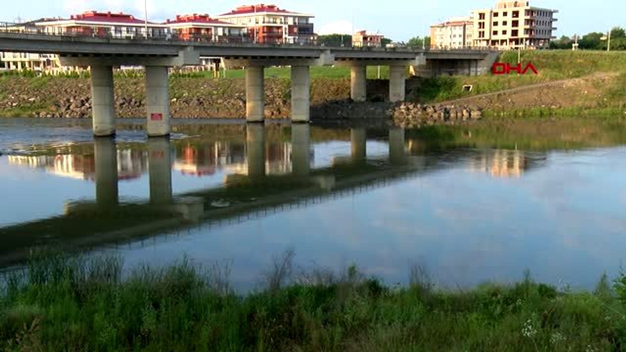 SAMSUN YEŞİLIRMAK'TA 'İSRAİL SAZANI' TEHDİDİ