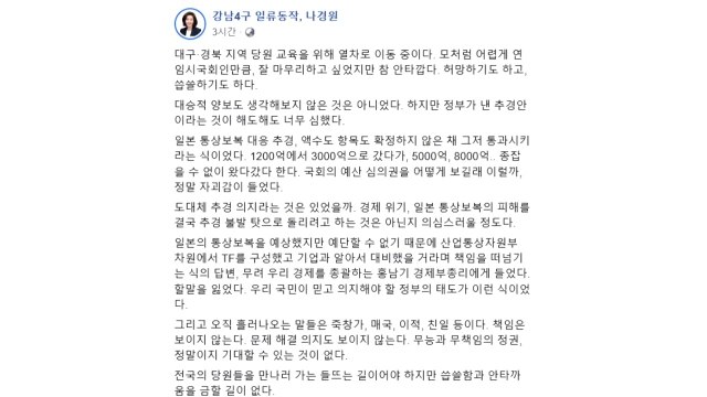 나경원 정부, 日 보복 대응 추경 액수도 확정 안 해...자괴감 느껴 / YTN