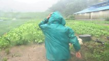 [날씨] 태풍 '다나스' 약화했지만 폭우는 경계...다음 주 전망은? / YTN