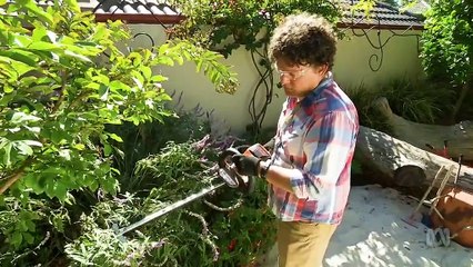 Gardening Australia episode 25 2019