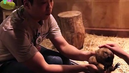 상당출장안마 -후불100%ョØ1ØS2671S8135｛카톡ZHF526｝ 상당전지역출장안마 상당오피걸 상당출장마사지 상당안마 상당출장마사지 상당콜걸샵∑⇒∃