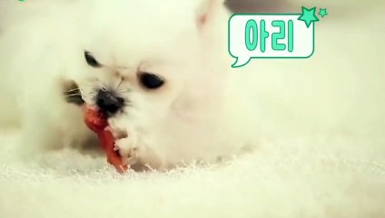 중구출장안마 -후불100%ョO7OW7301W9649｛카톡ZF66｝ 중구전지역출장안마 중구오피걸 중구출장마사지 중구안마 중구출장마사지 중구콜걸샵※≒℃