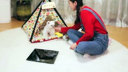 논산출장안마 -후불100%ョ OiOc7362c3210｛카톡VR91｝ 논산전지역출장안마 논산오피걸 논산출장마사지 논산안마 논산출장마사지 논산콜걸샵ニヌネ