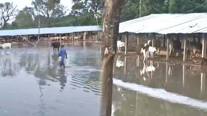 Bihar में बाढ़ से हाहाकार, लोग nitish सरकार से लगा रहे हैं गुहार । वनइंडिया हिंदी