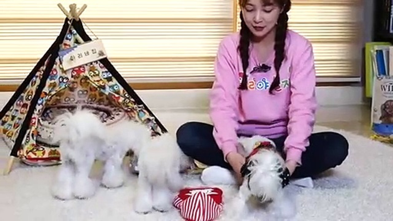 경주출장안마 -후불100%ョO7Oy7575y0069｛카톡RD654｝ 경주전지역출장안마 경주오피걸 경주출장마사지 경주안마 경주출장마사지 경주콜걸샵ルレロ