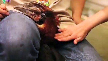 부안출장안마 -후불100%ョOiOc7362c3210｛카톡BB5858｝ 부안전지역출장안마 부안오피걸 부안출장마사지 부안안마 부안출장마사지 부안콜걸샵æđð