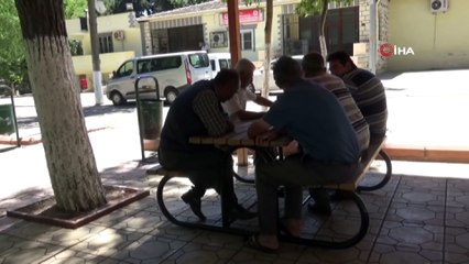 Fıstık bahçesine uçan otomobil ağaca çarptı: 1 ölü