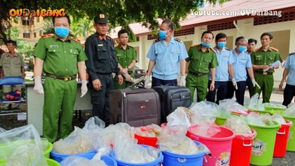 Liên tiếp phá chuyên án hàng tấn ma tuý, vì sao không bắt được ông trùm?