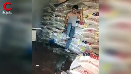 Sosyal medyada gündem oldu: Kedinin dinmeyen öfkesi