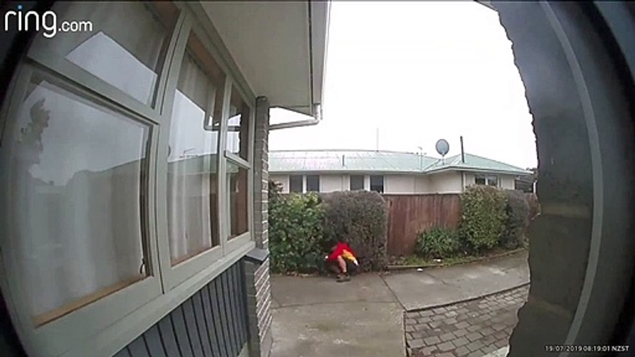 Courier Goes Crashing into Garden