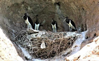 Yeni keşif 'Kara Leylek Kanyonu'