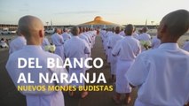 Del blanco al naranja, los nuevos monjes budistas