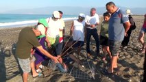 Caretta caretta üreme alanında drift yapan sürücünün ehliyetine el konuldu