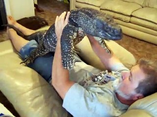 下载视频: Il fait un gros calin à son lézard géant. Animal de compagnie insolite