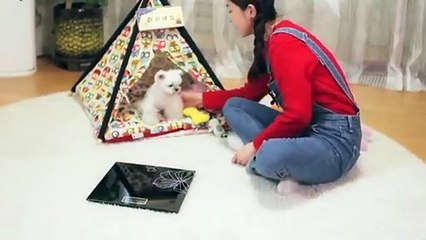 청양출장타이070c5180c1620｛카톡XI74｝ぱ청양출장안@마ぱ청양출장샵ぱ청양출장맛사지 ぱ청양출장걸썰 청양출장걸가격 청양출장러시아 청양외국인후불출장업소 청양24시출장마사지샵'예약きぎく