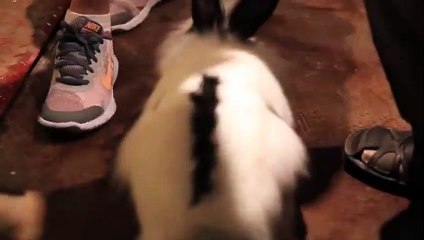 처인구출장안마 -후불100%ョOiOc7362c3210｛카톡RQ43｝ 처인구전지역출장안마 처인구오피걸 처인구출장마사지 처인구안마 처인구출장마사지 처인구콜걸샵ピフブ