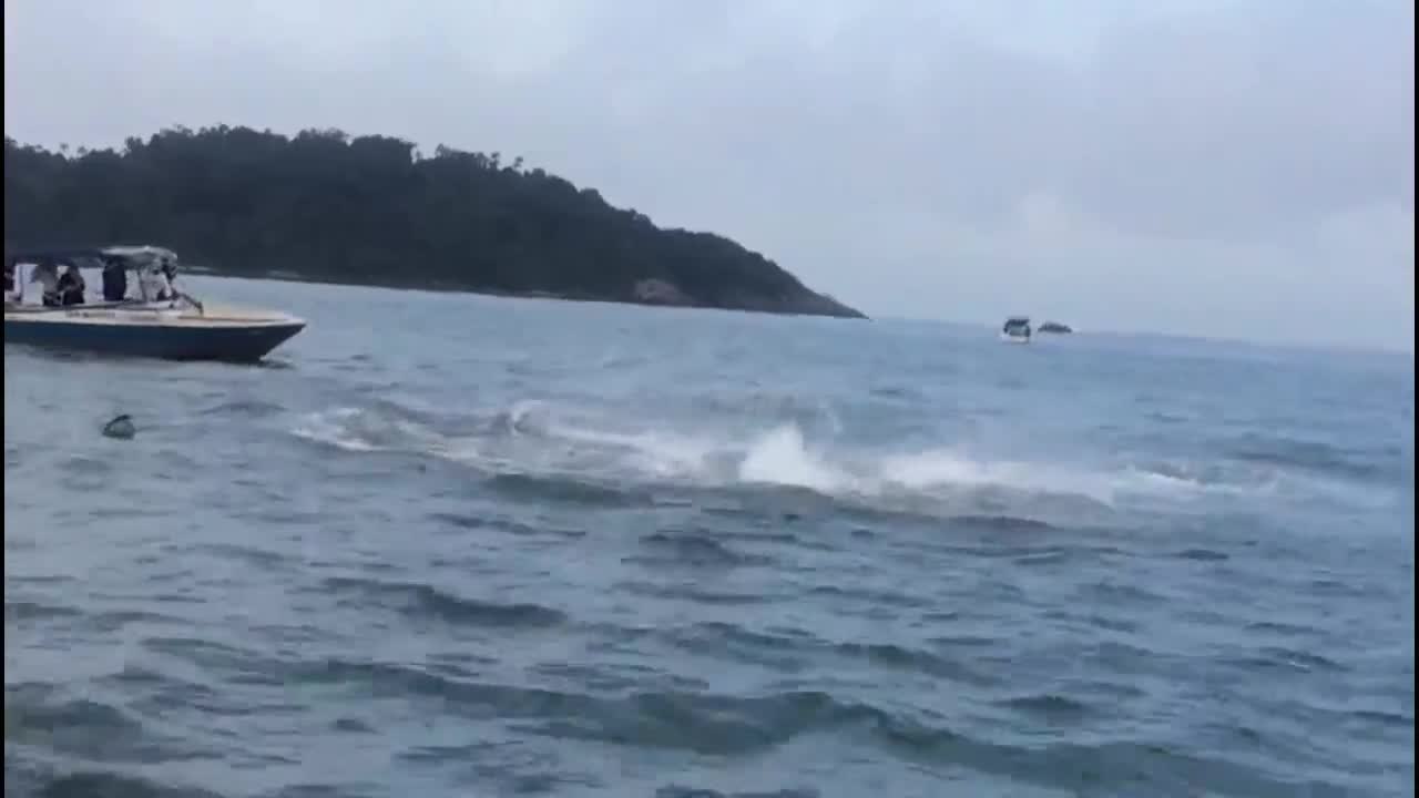 whatsapp video 2019-07-20 at 09.59.54