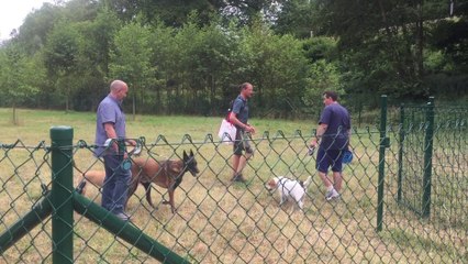 Parc Canin à Aywaille