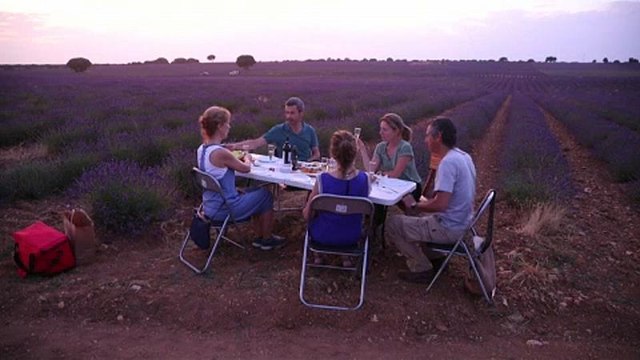 Лавандовые поля Гвадалахары