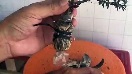 금정출장타이OiOy2997y5327｛카톡KC789｝ぱ금정출장안@마ぱ금정출장샵ぱ금정출장맛사지 ぱ금정출장걸썰 금정출장걸가격 금정출장러시아 금정외국인후불출장업소 금정24시출장마사지샵'예약♪▩▦