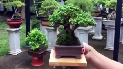 노원출장타이OiOy7685y6221｛카톡MGM1472｝ぱ노원출장안@마ぱ노원출장샵ぱ노원출장맛사지 ぱ노원출장걸썰 노원출장걸가격 노원출장러시아 노원외국인후불출장업소 노원24시출장마사지샵'예약абв