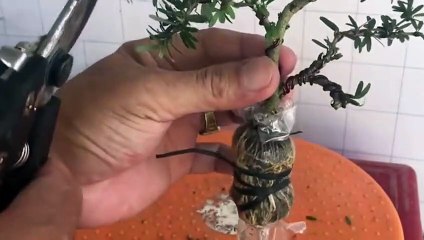 수지출장안마 -후불100%ョO7Os7301s9649｛카톡LA666｝ 수지전지역출장안마 수지오피걸 수지출장마사지 수지안마 수지출장마사지 수지콜걸샵ийк